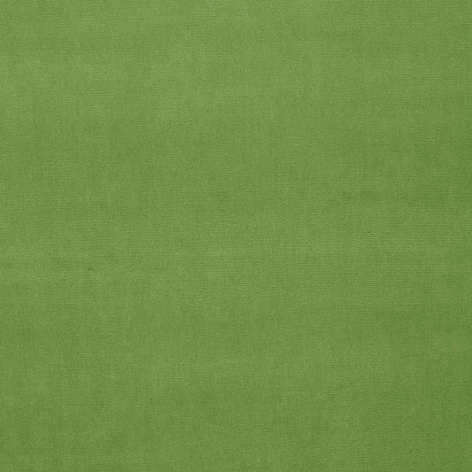 SCHUMACHER  PERFECT BASICS: VELVET GAINSBOROUGH VELVET VELVETS,HIGH PERFORMANCE VELVETS,HIGH PERFORMANCE GRASS   - 64576