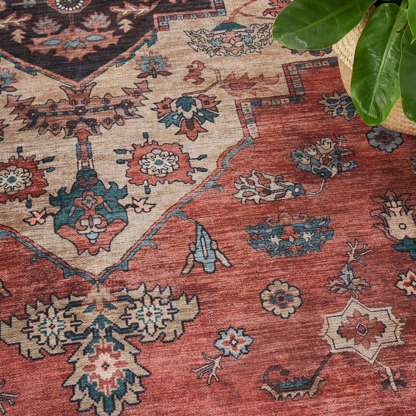 Oriental rug with red and cream field, blue floral medallions, woven texture; partial view of green plant leaf.