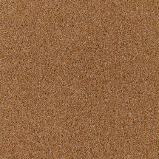 SCHUMACHER  Perfect Basics: Velvet San Carlo Mohair Velvet VELVETS VELVETS Fawn   - 64851