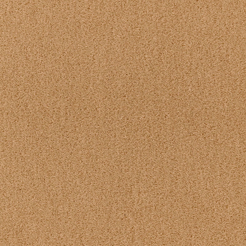 Beige cork-like textured surface with fine grain; natural, versatile material for decor or crafts.
