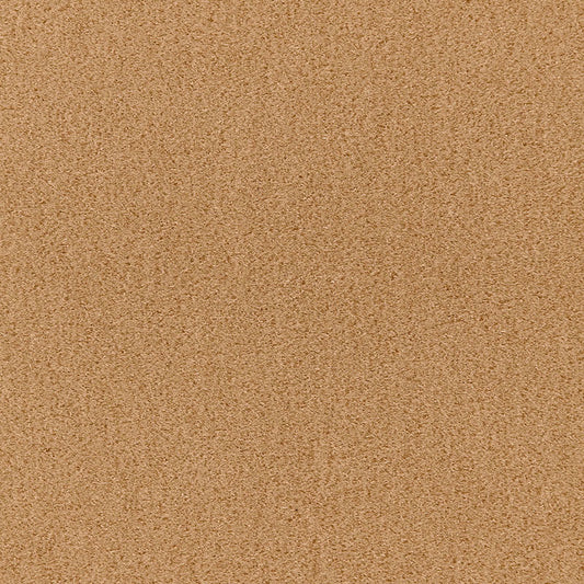 SCHUMACHER  Perfect Basics: Velvet San Carlo Mohair Velvet VELVETS VELVETS Camel   - 64852