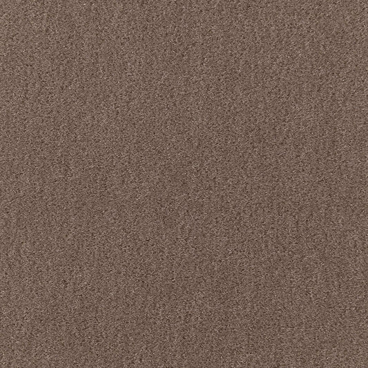SCHUMACHER  Perfect Basics: Velvet San Carlo Mohair Velvet VELVETS VELVETS Driftwood   - 64868