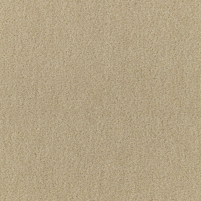 Beige fine-grain sand texture with subtle speckling.