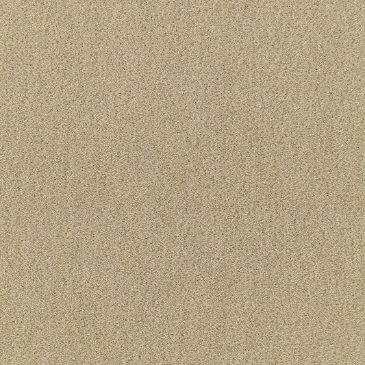 SCHUMACHER  Perfect Basics: Velvet San Carlo Mohair Velvet VELVETS VELVETS Pebble   - 64871