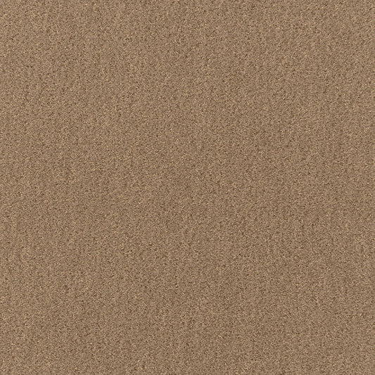 SCHUMACHER  Perfect Basics: Velvet San Carlo Mohair Velvet VELVETS VELVETS Sparrow   - 64885