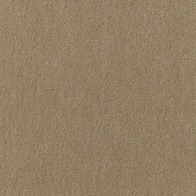 Close-up of fine beige sand texture with uniform grains.