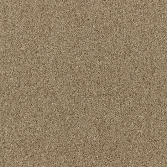 SCHUMACHER  Perfect Basics: Velvet San Carlo Mohair Velvet VELVETS VELVETS Sage   - 64887