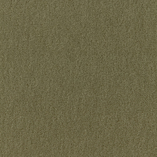 SCHUMACHER  Perfect Basics: Velvet San Carlo Mohair Velvet VELVETS VELVETS Moss   - 64894