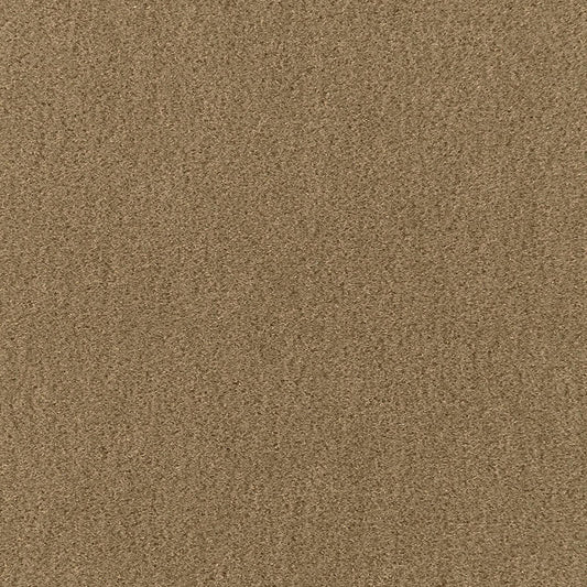 SCHUMACHER  Perfect Basics: Velvet San Carlo Mohair Velvet VELVETS VELVETS Herb   - 64895