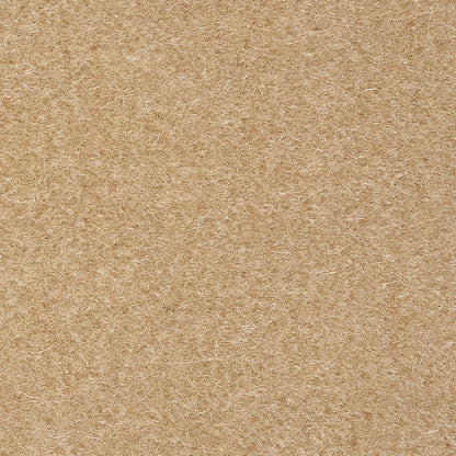 SCHUMACHER  Perfect Basics: Velvet San Carlo Mohair Velvet VELVETS VELVETS Oyster   - 64897