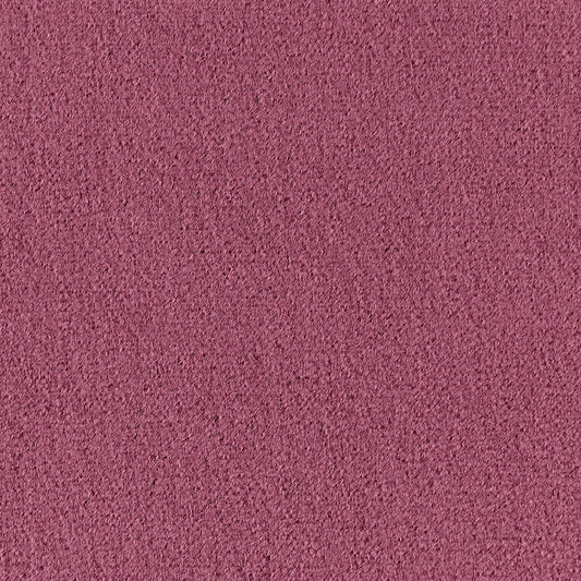 SCHUMACHER  PERFECT BASICS: VELVET PALERMO MOHAIR VELVET VELVETS,HIGH PERFORMANCE VELVETS,HIGH PERFORMANCE MULBERRY   - 64902