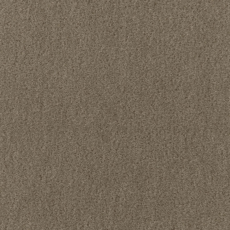 Tan sand-textured surface with fine granules; close-up, earthy and rugged.