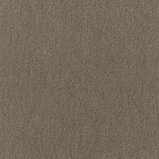 SCHUMACHER  PERFECT BASICS: VELVET PALERMO MOHAIR VELVET VELVETS,HIGH PERFORMANCE VELVETS,HIGH PERFORMANCE THYME   - 64930