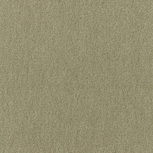 SCHUMACHER  PERFECT BASICS: VELVET PALERMO MOHAIR VELVET VELVETS,HIGH PERFORMANCE VELVETS,HIGH PERFORMANCE LICHEN   - 64931