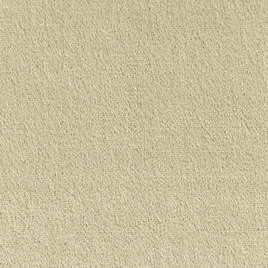 SCHUMACHER  PERFECT BASICS: VELVET PALERMO MOHAIR VELVET VELVETS,HIGH PERFORMANCE VELVETS,HIGH PERFORMANCE EAU DE NIL   - 64932