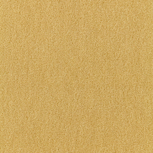 SCHUMACHER  PERFECT BASICS: VELVET PALERMO MOHAIR VELVET VELVETS,HIGH PERFORMANCE VELVETS,HIGH PERFORMANCE ABSINTHE   - 64939