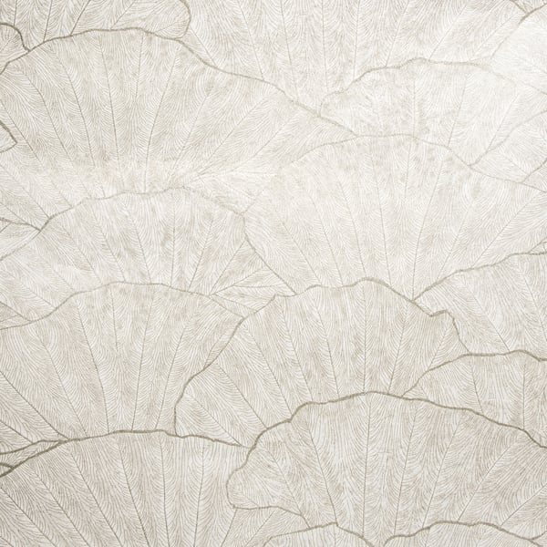 Galerie Wallcoverings Feel Sshell Galerie Wallcoverings  Silver Grey   - GH65004-23