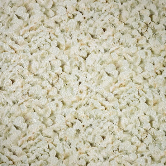 Galerie Wallcoverings Salt Wildflower Galerie Wallcoverings  Beige   - GH65304-23