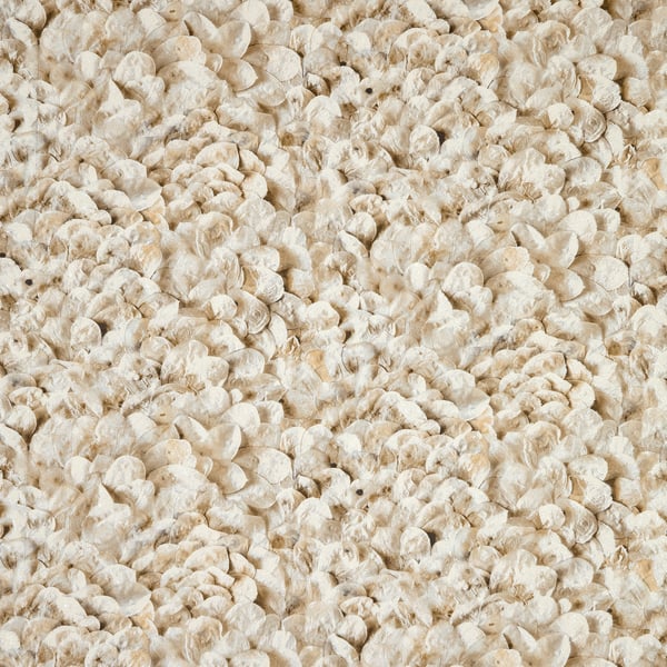 Galerie Wallcoverings Salt Wildflower Galerie Wallcoverings  Orange   - GH65308-23