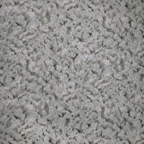 Galerie Wallcoverings Salt Wildflower Galerie Wallcoverings  Silver Grey   - GH65309-23