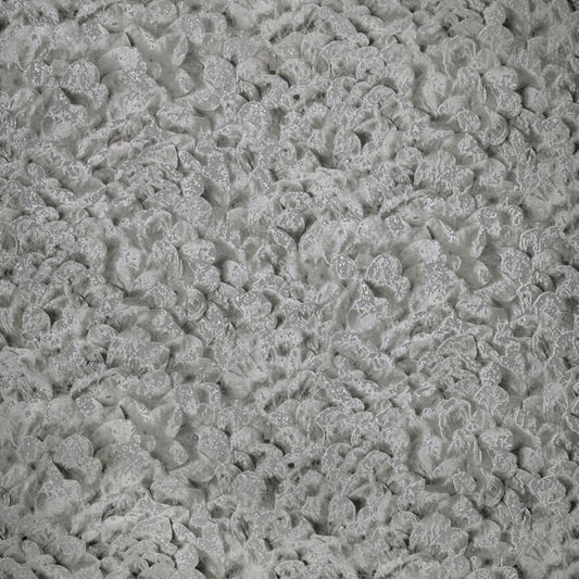 Galerie Wallcoverings Salt Wildflower Galerie Wallcoverings  Silver Grey   - GH65309-23