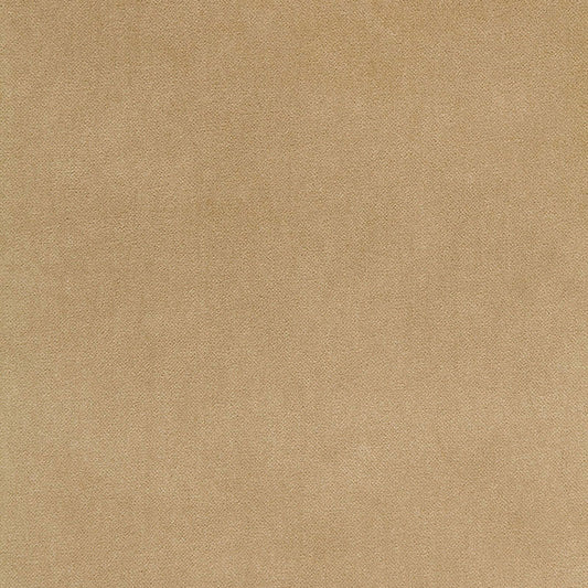 SCHUMACHER  PERFECT BASICS: VELVET BAYEUX VELVET EMBROIDERIES EMBROIDERIES PUTTY   - 65311