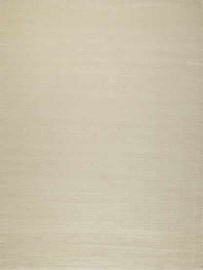 Beige textured rectangular rug (4' x 6') with a woven, hand-loomed look, suitable for living room or bedroom.