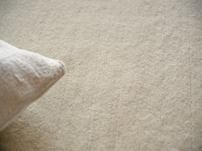 Soft beige area rug with a light cream pillow at the left edge.