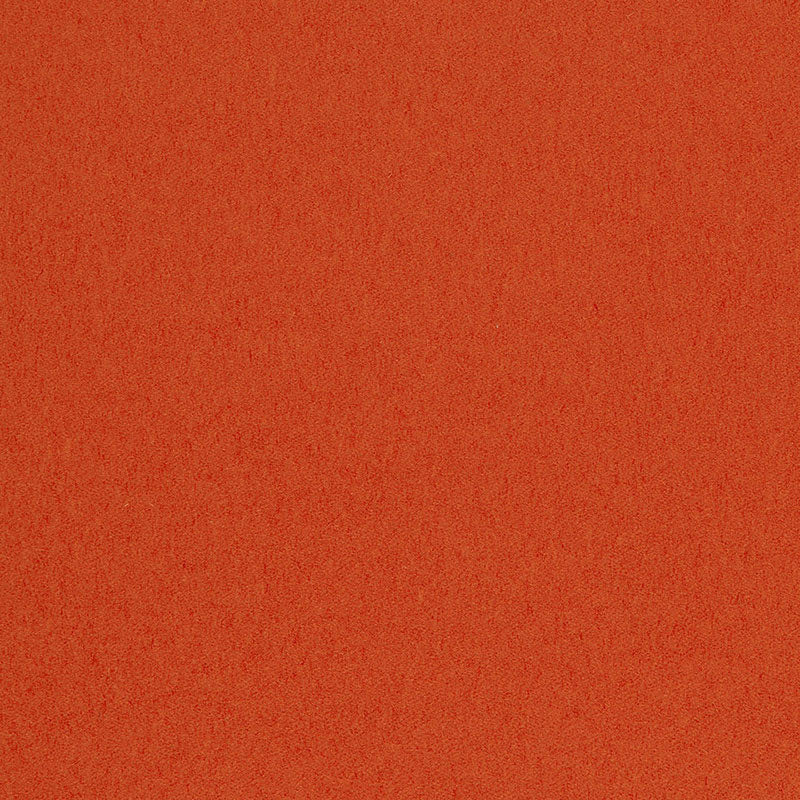 Solid burnt orange textured background with a fine grain.