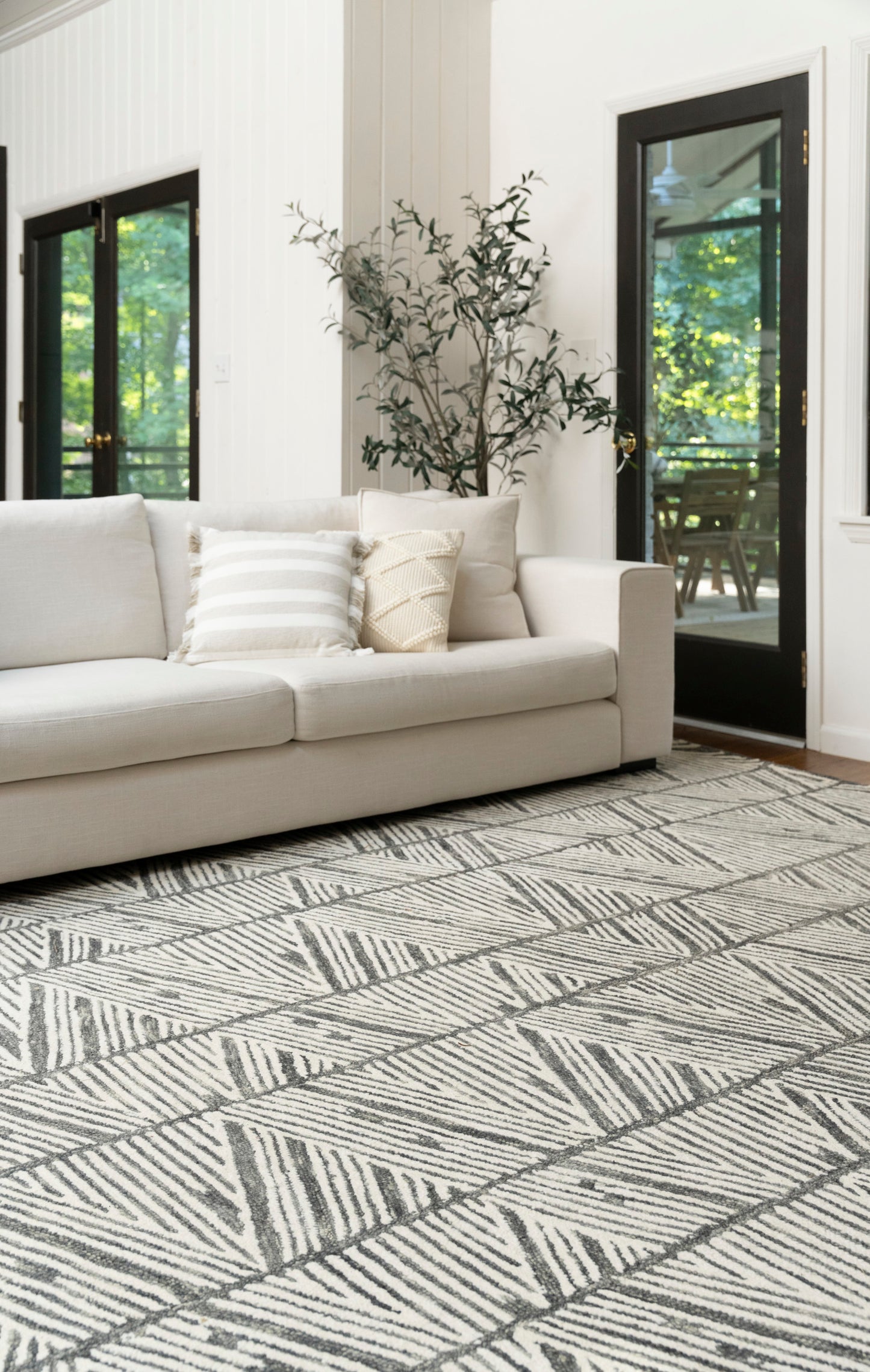 Geometric rug in a bright living room, with black-framed glass doors and a tall plant.