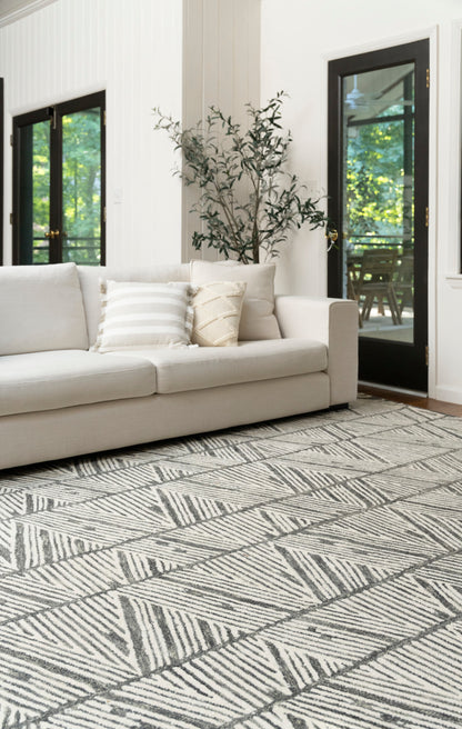 Geometric rug in a bright living room, with black-framed glass doors and a tall plant.