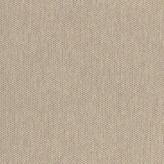 SCHUMACHER  CHROMA TIMES SQUARE TEXTURES TEXTURES CHANTERELLE   - 66981