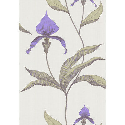 COLE & SON ORCHID --BOTANICAL & FLORAL- WHITE,PURPLE,   - 66/4024.CS.0