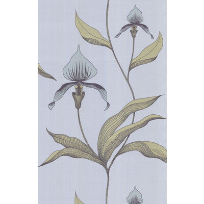 COLE & SON ORCHID --BOTANICAL & FLORAL- BLUE,PURPLE,   - 66/4026.CS.0