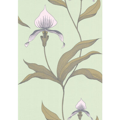 COLE & SON ORCHID --BOTANICAL & FLORAL- LIGHT GREEN,,   - 66/4028.CS.0