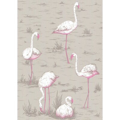 COLE & SON FLAMINGOS ---ANIMAL/INSECTS GREY,,   - 66/6042.CS.0