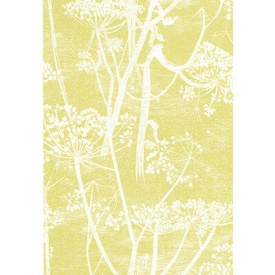 COLE & SON COW PARSLEY ---BOTANICAL & FLORAL PINK   - 66/7051.CS.0