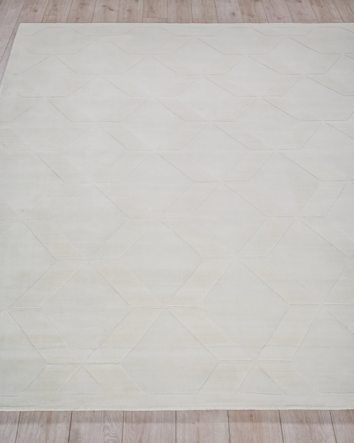 EXQUISITE RUGS   Brunello Modern Indoor Hand Loomed    - 6735-4'X6'