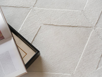 EXQUISITE RUGS   Brunello Modern Indoor Hand Loomed    - 6735-4'X6'