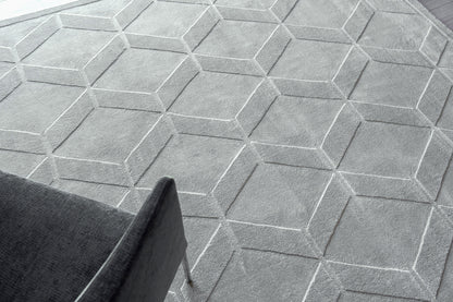 EXQUISITE RUGS   Brunello Modern Indoor Hand Loomed    - 6736-2'X3'