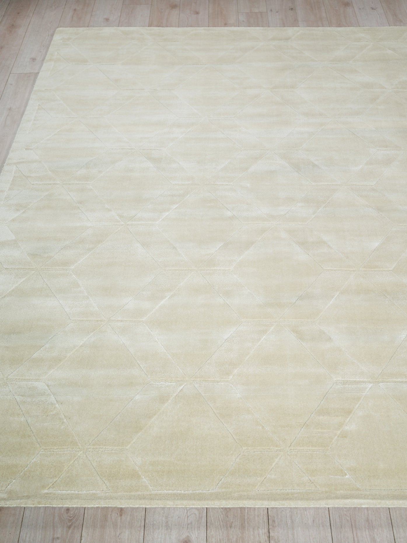 EXQUISITE RUGS   Brunello Modern Indoor Hand Loomed    - 6739-4'X6'