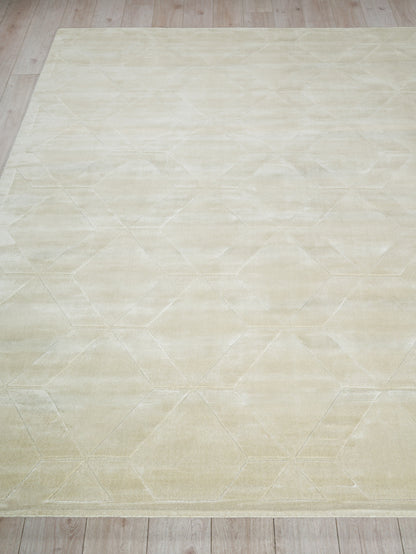 EXQUISITE RUGS   Brunello Modern Indoor Hand Loomed    - 6739-4'X6'