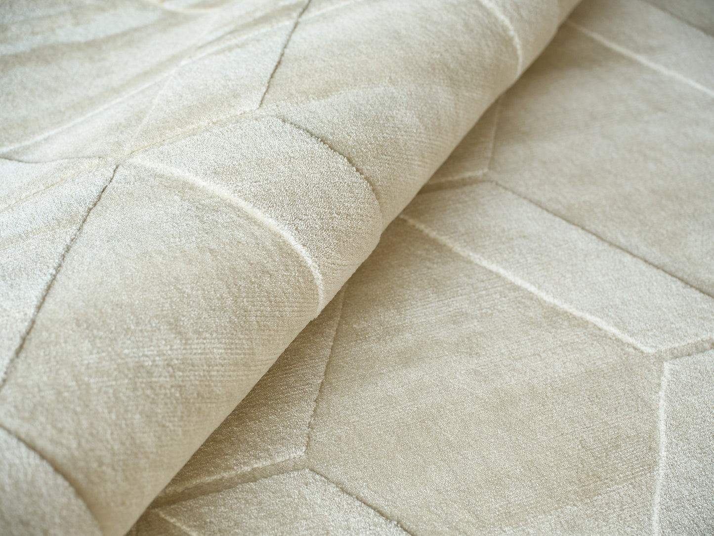 EXQUISITE RUGS   Brunello Modern Indoor Hand Loomed    - 6739-2'X3'