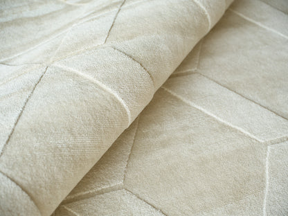 EXQUISITE RUGS   Brunello Modern Indoor Hand Loomed    - 6739-4'x5'