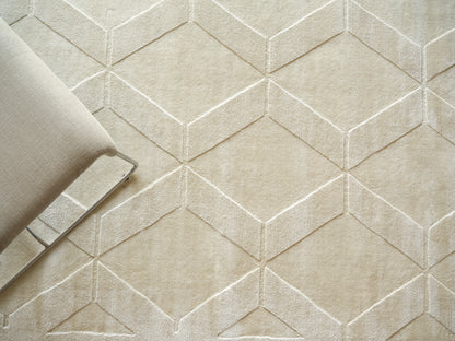 EXQUISITE RUGS   Brunello Modern Indoor Hand Loomed    - 6739-4'X6'