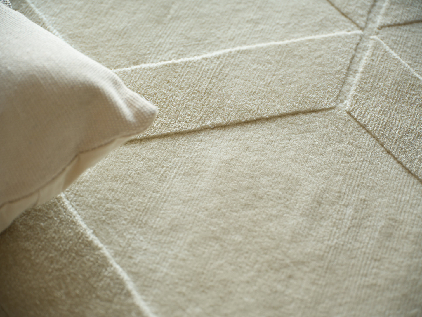 EXQUISITE RUGS   Brunello Modern Indoor Hand Loomed    - 6739-2'X3'