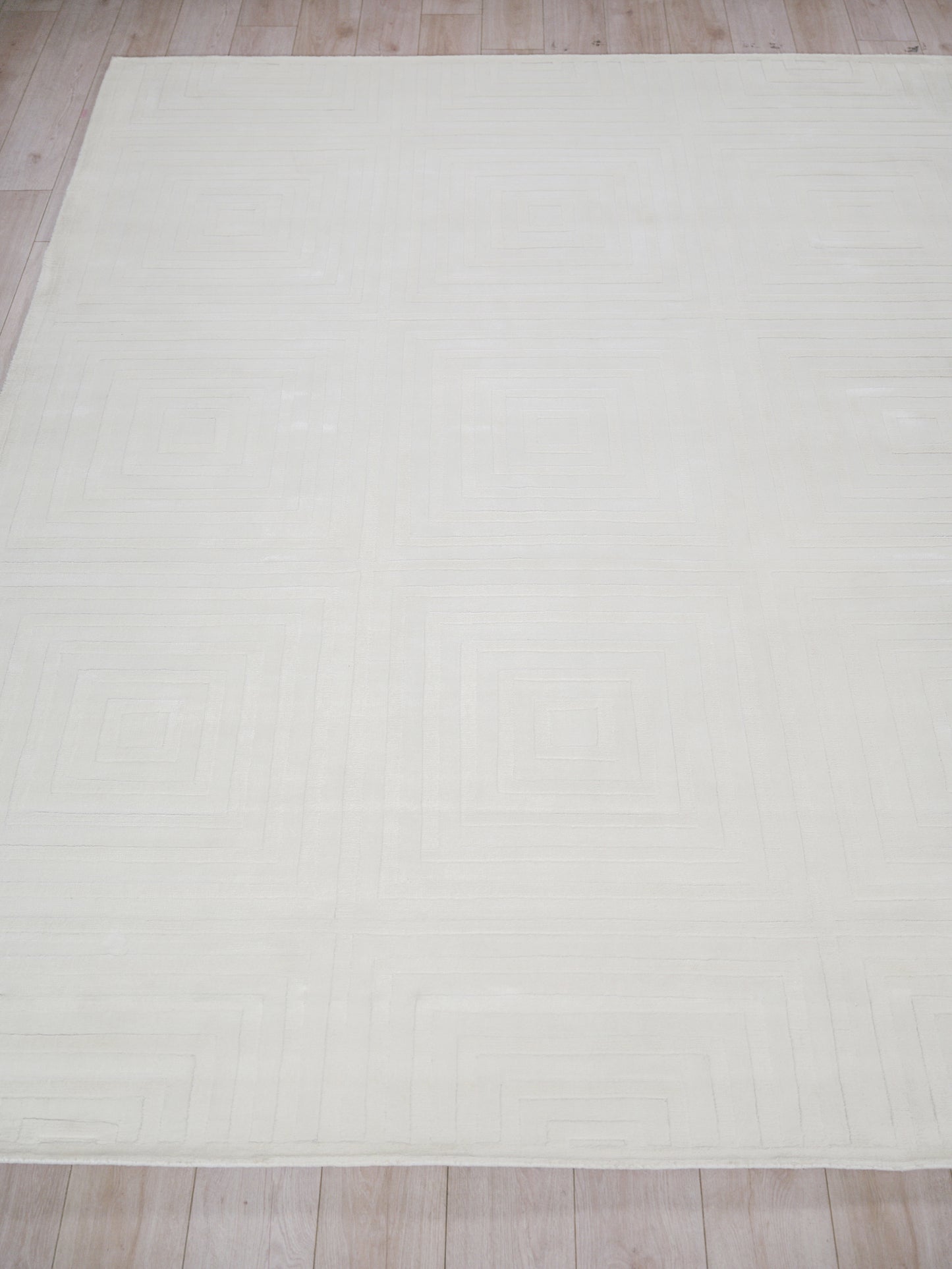 EXQUISITE RUGS   Tovello Modern Indoor Hand Loomed    - 6746-4'X6'