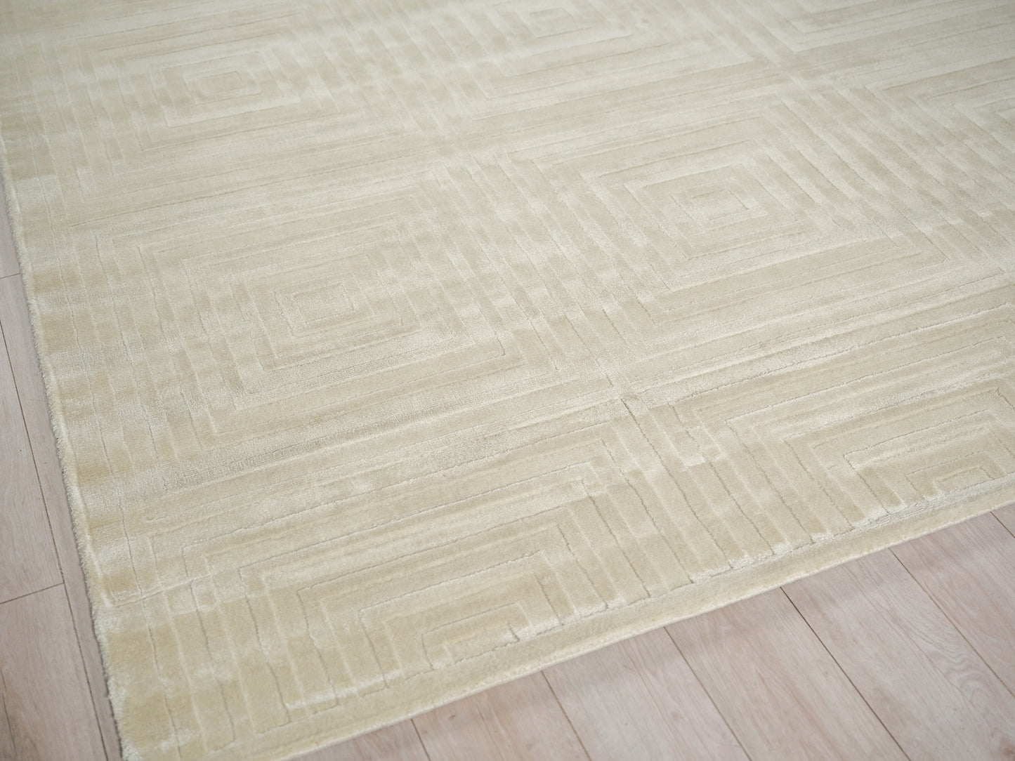 EXQUISITE RUGS   Tovello Modern Indoor Hand Loomed    - 6750-4'X6'