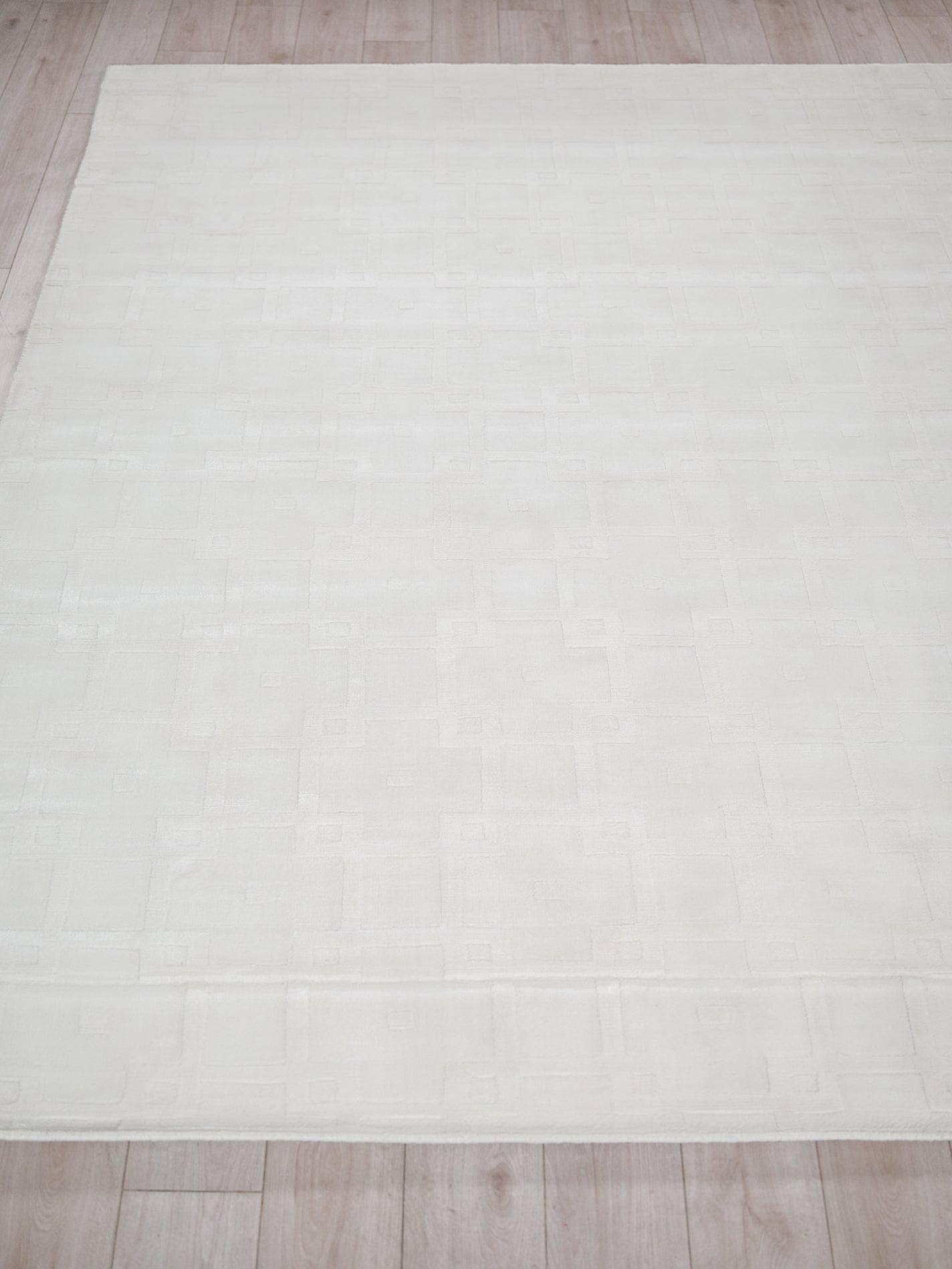 EXQUISITE RUGS   Camora Modern Indoor Hand Loomed    - 6752-2'X3'