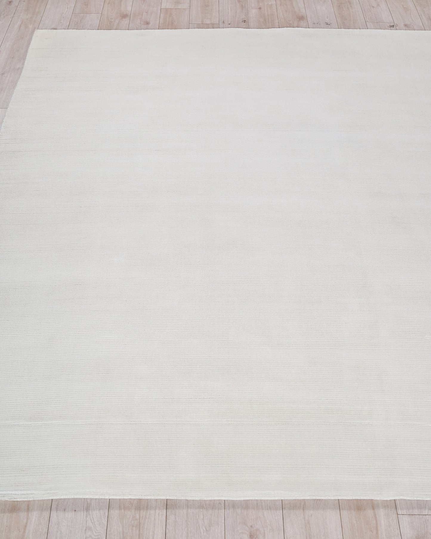 EXQUISITE RUGS   Pavia Modern Indoor Hand Loomed    - 6757-2'X3'